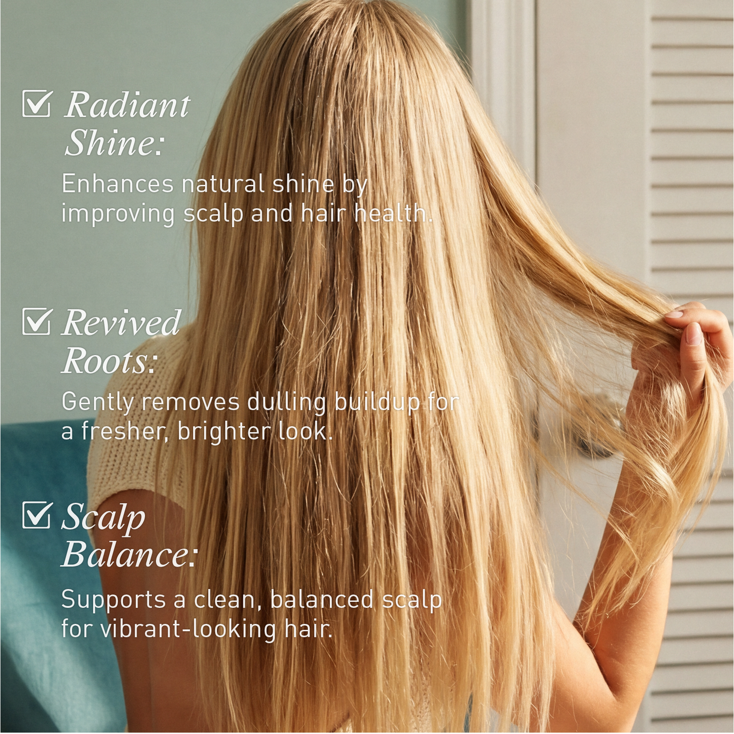 Voshbon Brighten Freeze-Dried Hair Wash