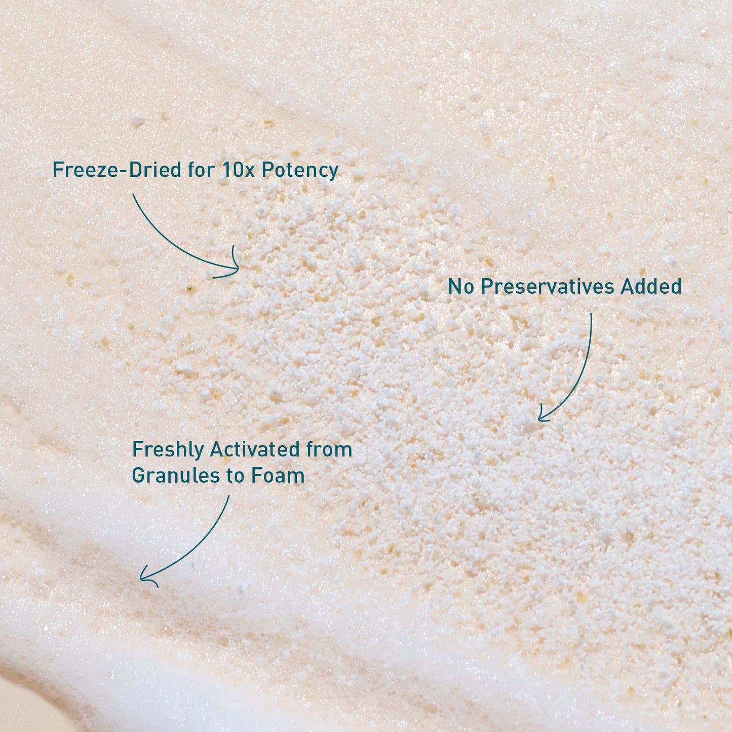 Voshbon Volumize Freeze-Dried Hair Wash