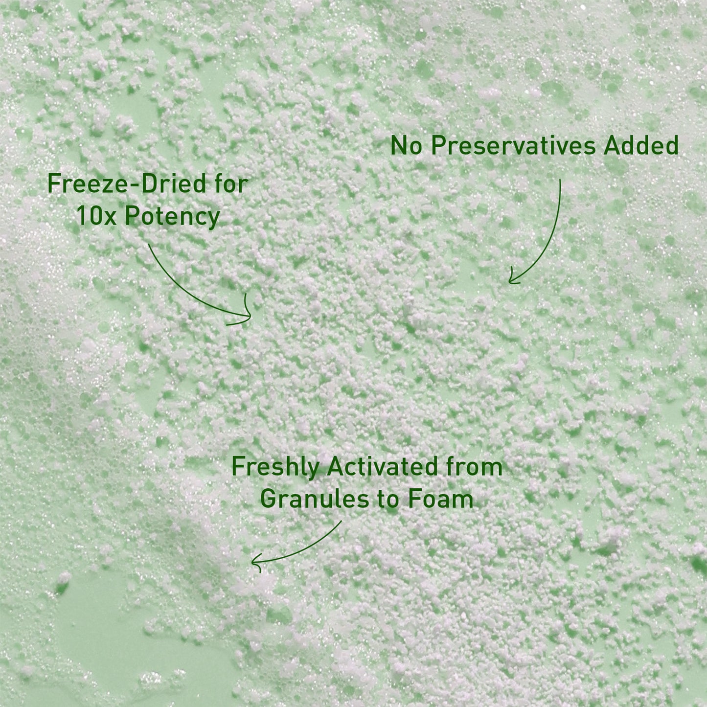 Voshbon Balance Freeze-Dried Face Wash
