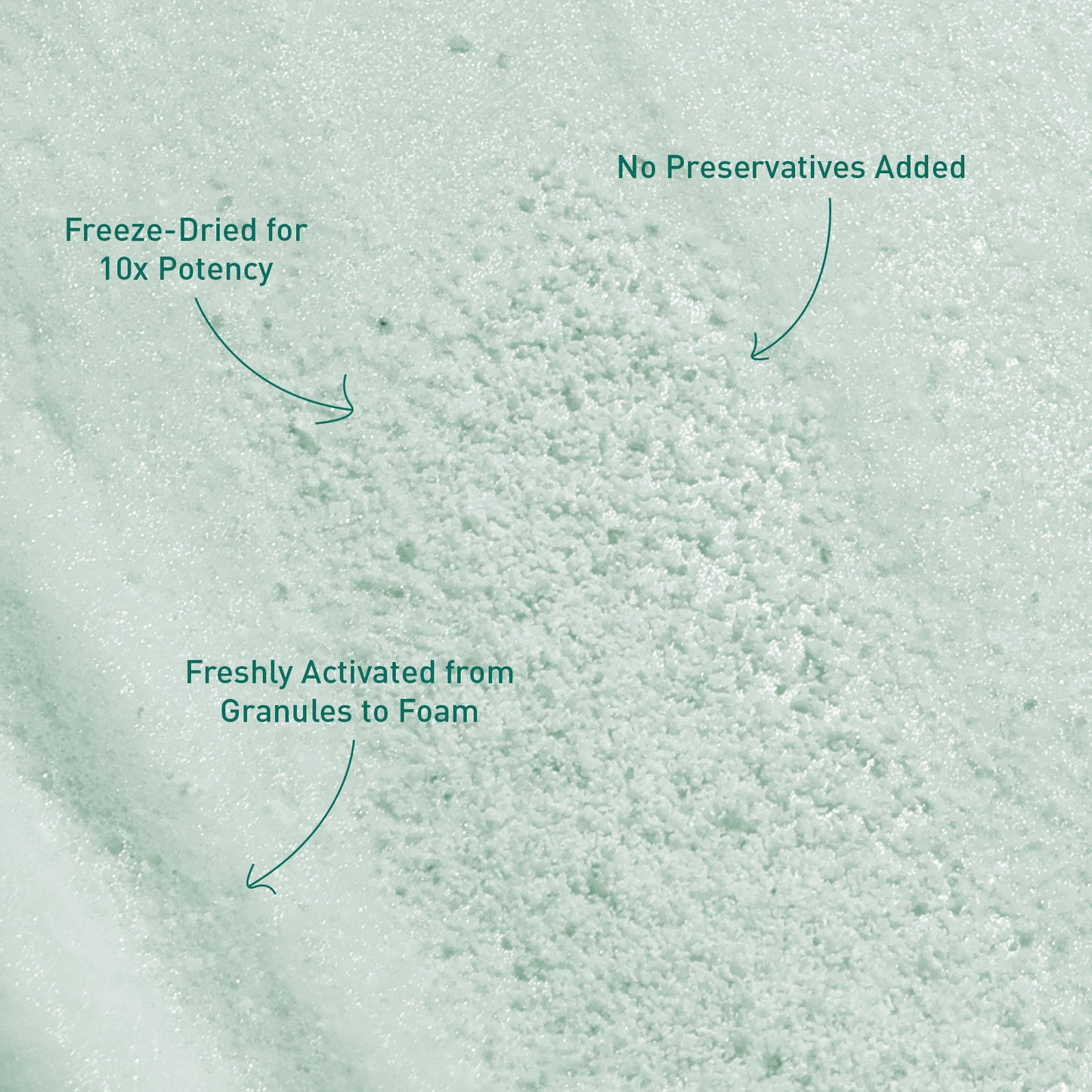 Voshbon Brighten Freeze-Dried Hair Wash