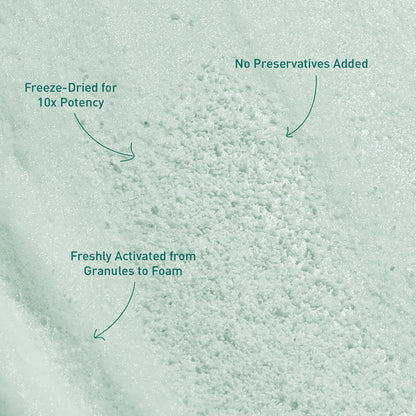 Voshbon Brighten Freeze-Dried Hair Wash